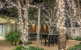 Royal Hotel Randwick